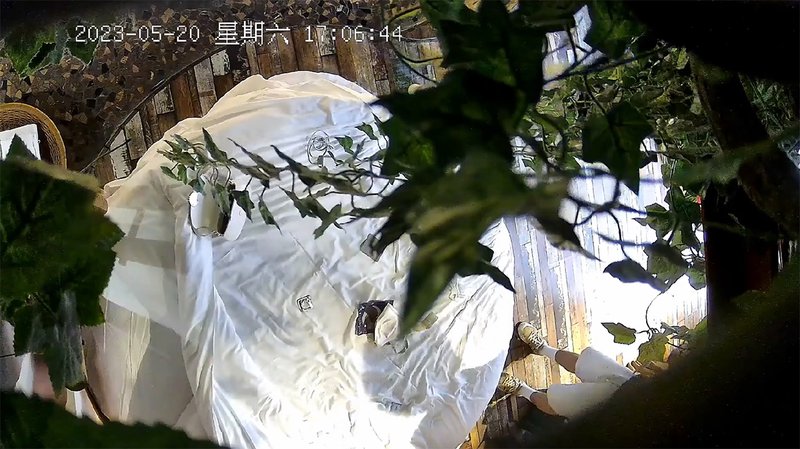 情趣酒店绿叶房高清偷拍高颜值美女穿上性感情趣男友挑逗斯文男友做爱(v)